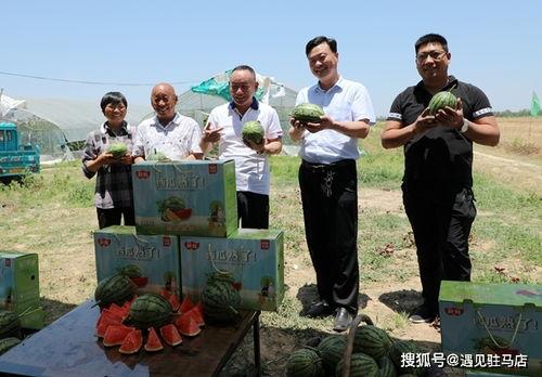 朱百万夫妇娱乐吃瓜,揭秘明星夫妻的甜蜜生活与幕后故事
