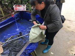 五一吃瓜群众网入口