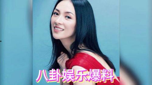 综艺娱乐圈吃瓜爆料小说,揭秘幕后真相,吃瓜群众狂欢盛宴