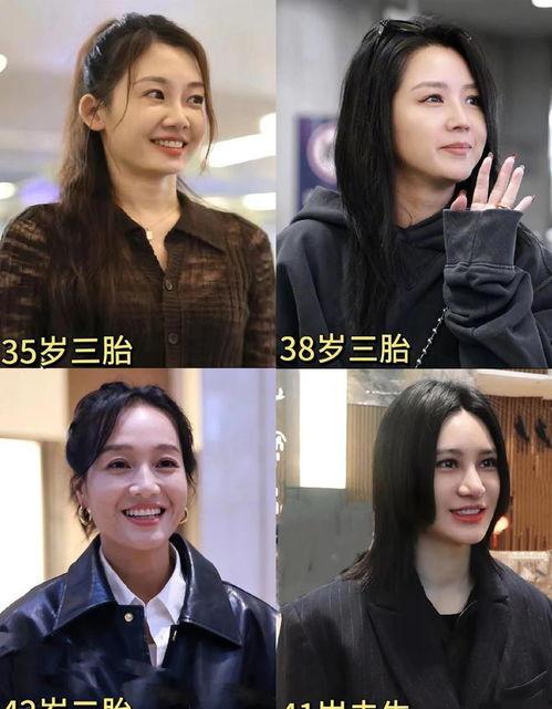 娱乐圈吃瓜爽文合集,揭秘明星幕后真相,吃瓜爽文大合集